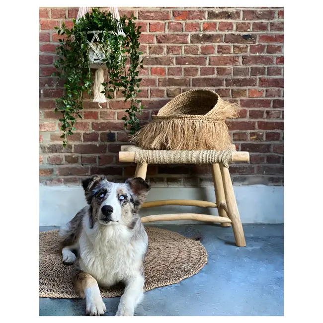 De Macrame Planthanger - Wit - L