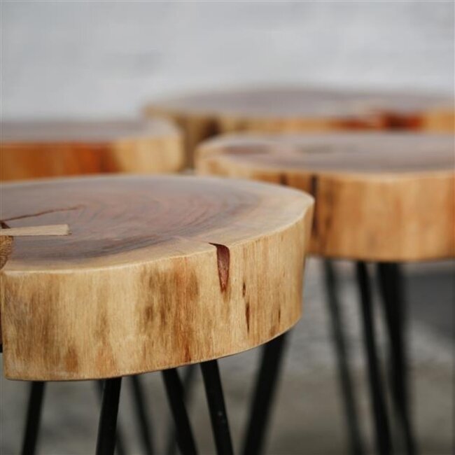 Stam Bijzettafel 2 Stuks - Ø32x45cm - Naturel - Acacia/Metaal