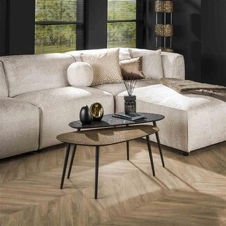 PS-Collection Salontafel Set van 2 Antiek Brons Zwart Metallic