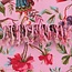 Imbarro Hammamdoek Paradise - 100x200 cm - Blush - Katoen