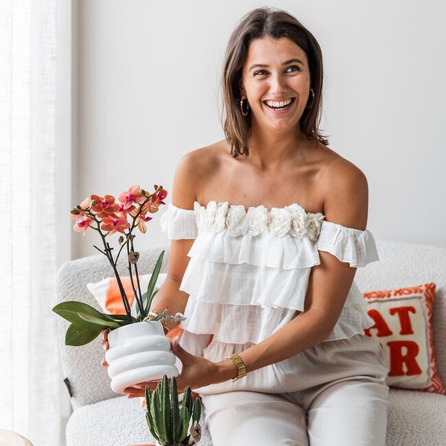 Oranje Phalaenopsis Orchidee - Bubble Pot Wit | Kolibri Orchids