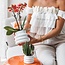 Oranje Phalaenopsis Orchidee - Bubble Pot Wit | Kolibri Orchids