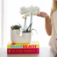 Witte Orchidee & Succulent - Stijlvolle Duo Plantenpot | Kolibri Orchids