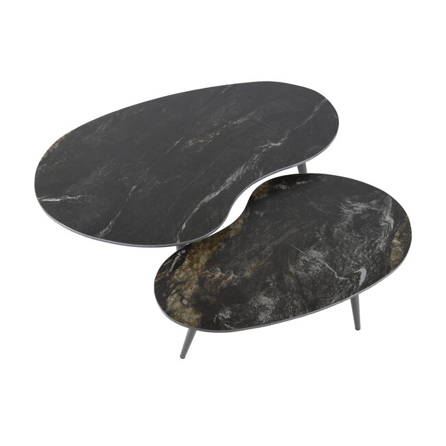 Fossil Salontafel Set van 2 - Niervormig - 91x55x40cm - Zwart - Keramiek/Metaal
