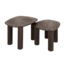 Salontafel Set van 2 Teakhout Espresso - Maya