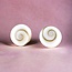 Shiva Eye Oorknopjes - Zilver & Schelp