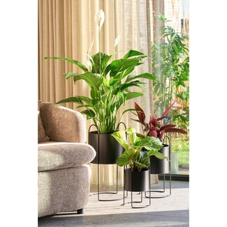 Bloempot op Standaard - Metaal - Zwart - Set van 3