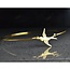Gouden Bangle - Zwaluw Hanger - Symbool van Vrijheid