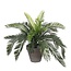 Kunstplant Cycas Palm in Pot Groen - Decoratie Plant