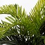 Kunstplant Cycas Palm in Pot Groen - Decoratie Plant