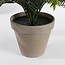 Kunstplant Cycas Palm in Pot Groen - Decoratie Plant