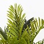 Kunstplant Cycas Palm in Pot Groen - Decoratie Plant
