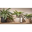 Kunstplant Cycas Palm in Pot Groen - Decoratie Plant