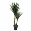 Kunstplant Yucca Groen - Plantdecoratie Binnen