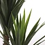 Kunstplant Yucca Groen - Plantdecoratie Binnen