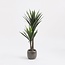 Kunstplant Yucca Groen - Plantdecoratie Binnen