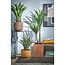 Kunstplant Yucca Groen - Plantdecoratie Binnen