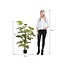 Kunstplant Monstera Groen - Decoratieplant Binnen