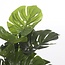 Kunstplant Monstera Groen - Decoratieplant