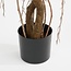 Philodendron Kunstplant in Pot - Decoratieve Plant