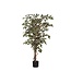 Ficus Kunstplant in Pot Groen Bont - Decoratieplant