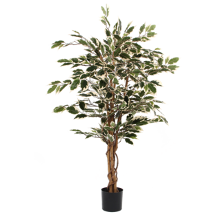 Kunstplant Ficus Groen Bont - Decoratieplant in Pot