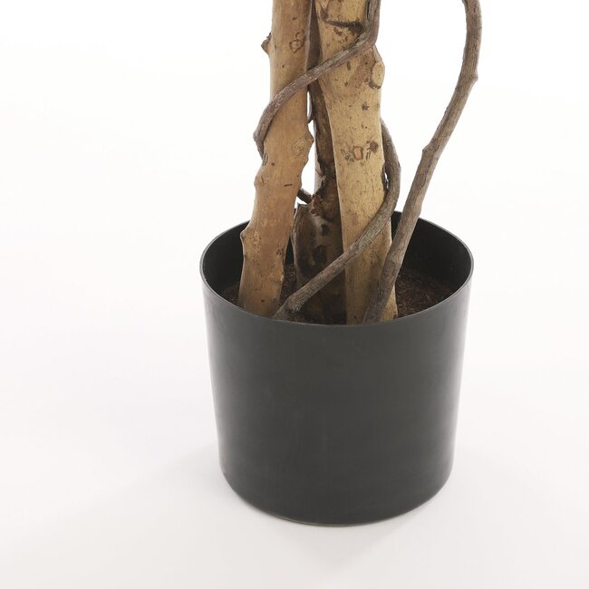 Kunstplant Ficus Groen Bont - Decoratieplant in Pot