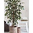 Kunstplant Ficus Groen Bont - Decoratieplant in Pot