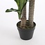 Dracaena Kunstplant Groen - Plantdecoratie Binnen