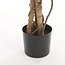 Ficus Kunstplant in Pot Groen Bont - Decoratieplant