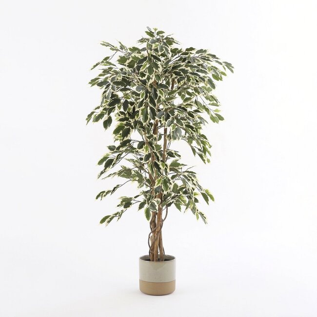 Ficus Kunstplant in Pot Groen Bont - Decoratieplant