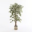 Ficus Kunstplant in Pot Groen Bont - Decoratieplant