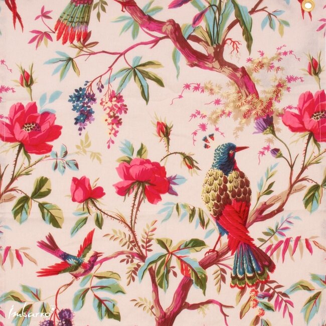 Imbarro Keukendoeken / Theedoek Paradise Ecru- Set van 2