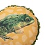 Sierkussen Green Frog Rond Multi Franjes Velours