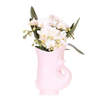 Witte Orchidee in Roze Visvormige Sierpot