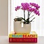 Orchidee Succulent Set van 2 in Witte Sierpot