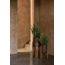 Plantenstandaard Bruin Hout Beton Design - M