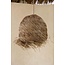 Hanglampkap Gras Naturel Handgeweven - De Wicked