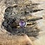 Amethist Geboortesteen Ring - Verguld 925 Zilver
