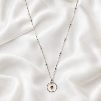 Ketting Tijgeroog Edelsteen Zilverkleurig