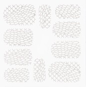 Metallic Filigree Stickers SFLS-005 Silver Metallic Filigree Stickers SFLS-005 Silver