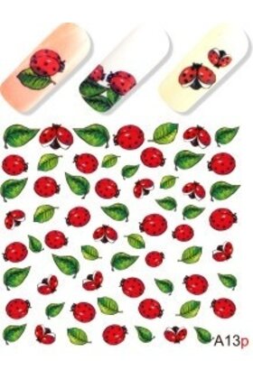 Water Transfer Tattoo A13P