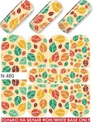 Water Transfer Tattoo N480