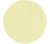 Lily Of The Valley  FP102