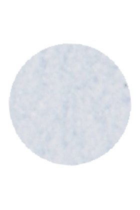 Morning Glory  FP105