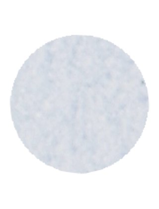 Morning Glory  FP105