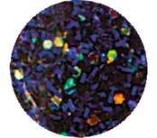 Santa Monica Blvd. - Glitter Acrylic