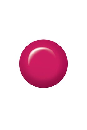 JGP Gerber Daisy 14 ml/0.5oz