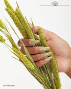 JGP Off The Grid 14ml/0.5oz JGP Off The Grid 14ml/0.5oz