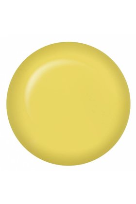 JGP Safari Not Safari 14ml/0.5oz